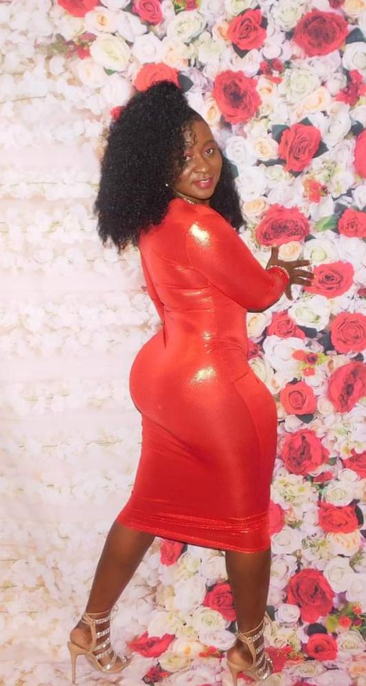 Mya Fitted Dress