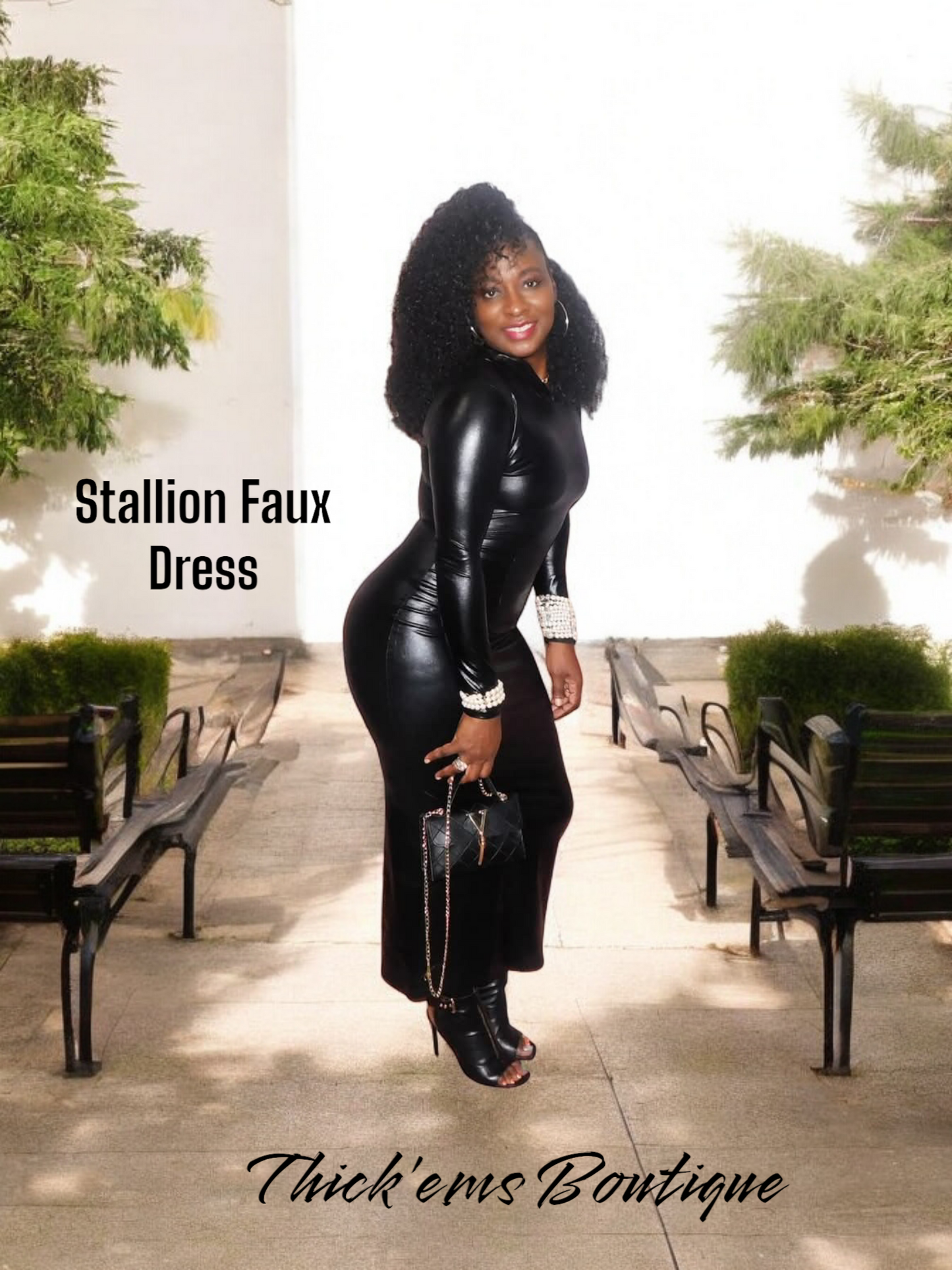 Stallion Faux Dress