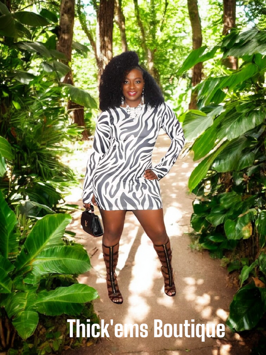 Zoe Zebra Mini Dress