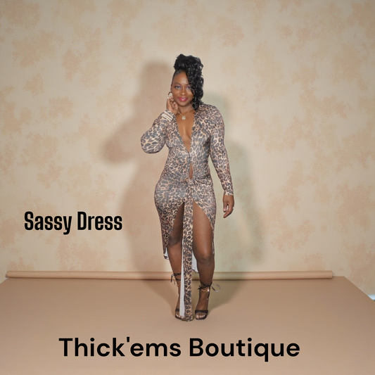 Sassy Dress