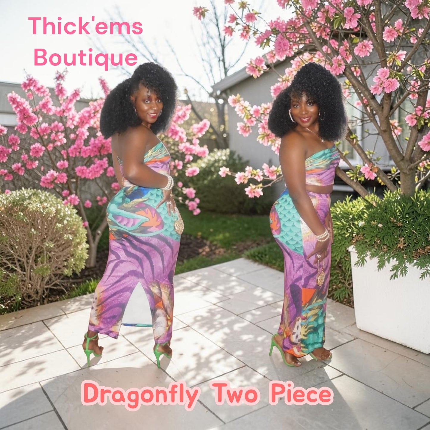 DragonFly Two Piece